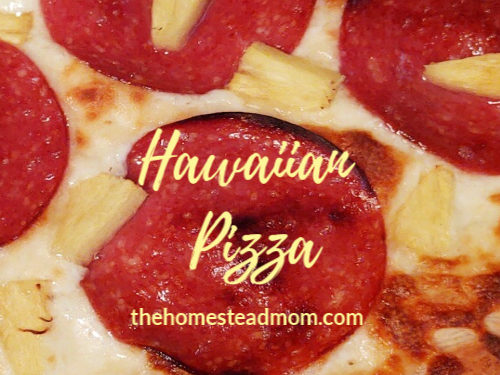 hawaiian pizza